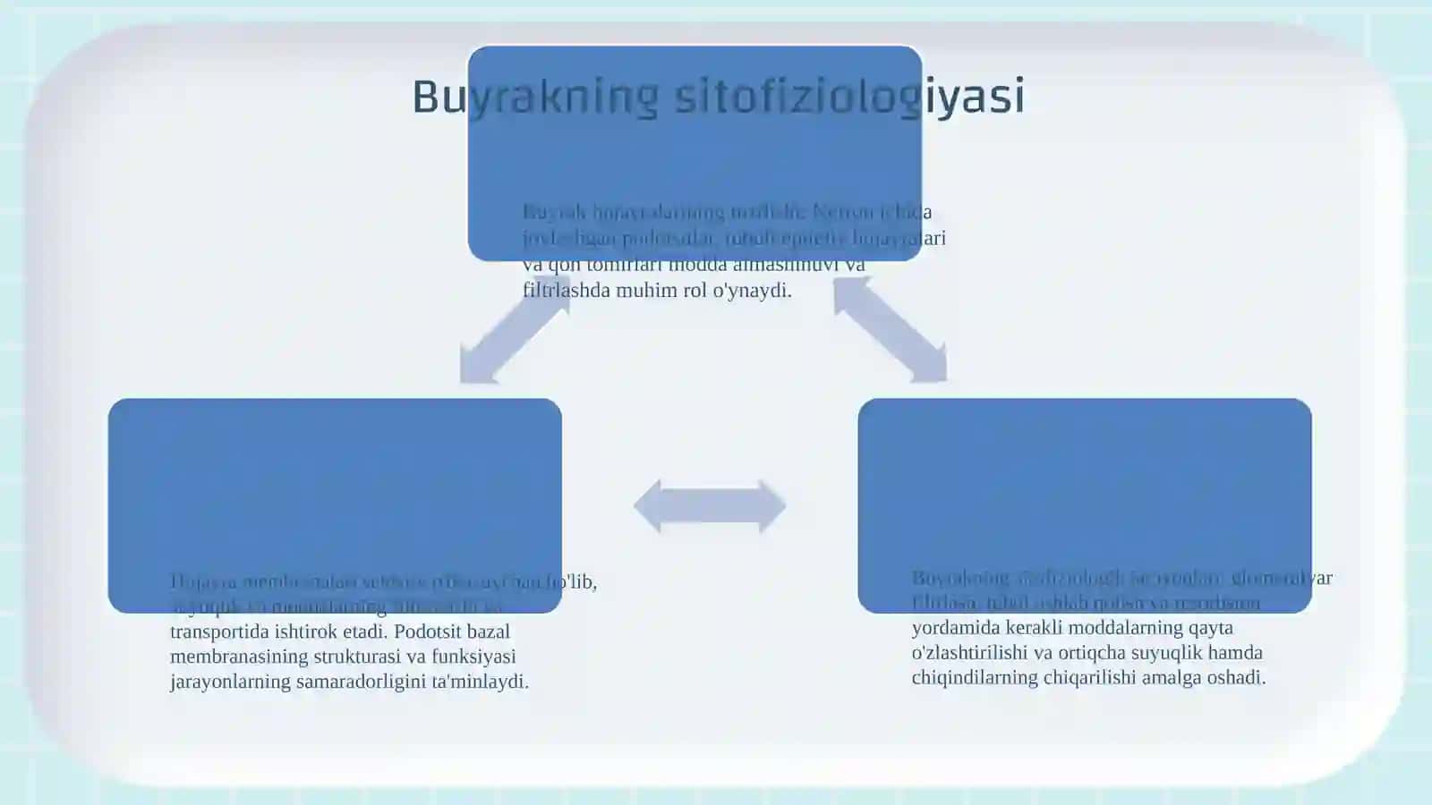 Buyrakning yukstaglomerulyar apparati sitofiziologiyasi. Nefronning gistofiziologiyasi . Buyraklar tuzilishi va regenerator imkoniyatlarining yoshga doir xususiyatlari 4