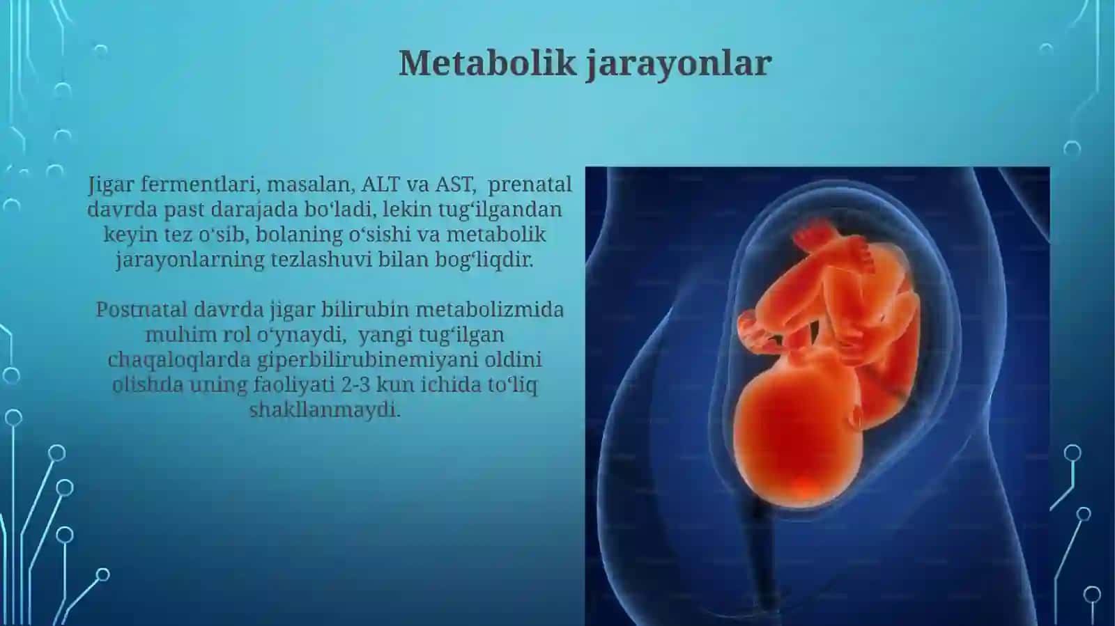 Jigarning prental va postnatal rivojlanishi 4