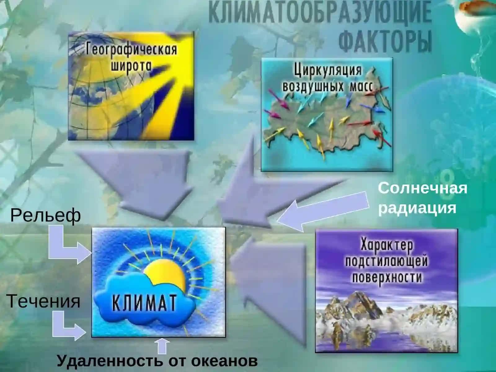 Особенности климата России 4