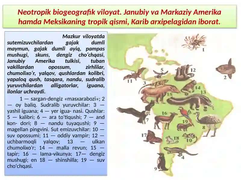 EVOLUTSIYANI ISBOTLASHDA BIOGEOGRAFIYA FANI DALILLARI 4