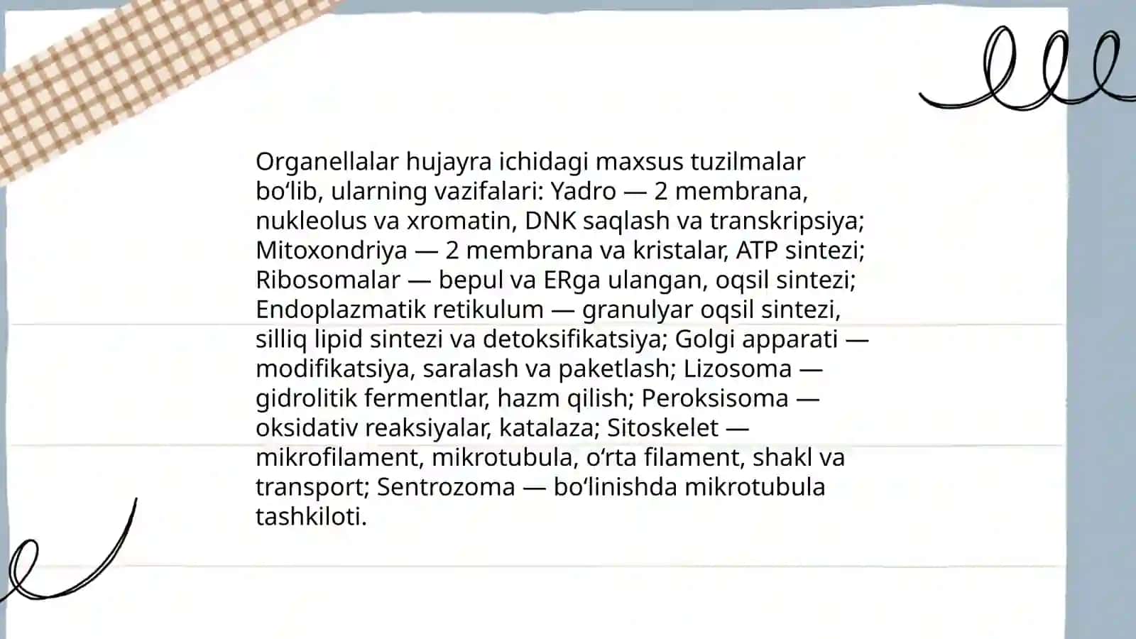 Odam organizmining tuzilishi 4