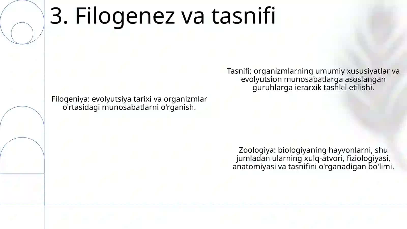 Umurtqalilar Zoologiyasi 4