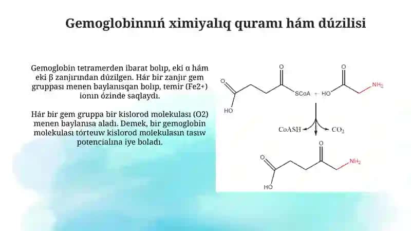 Gemoglobin arqalı kislorodtıń tasılıwı 4