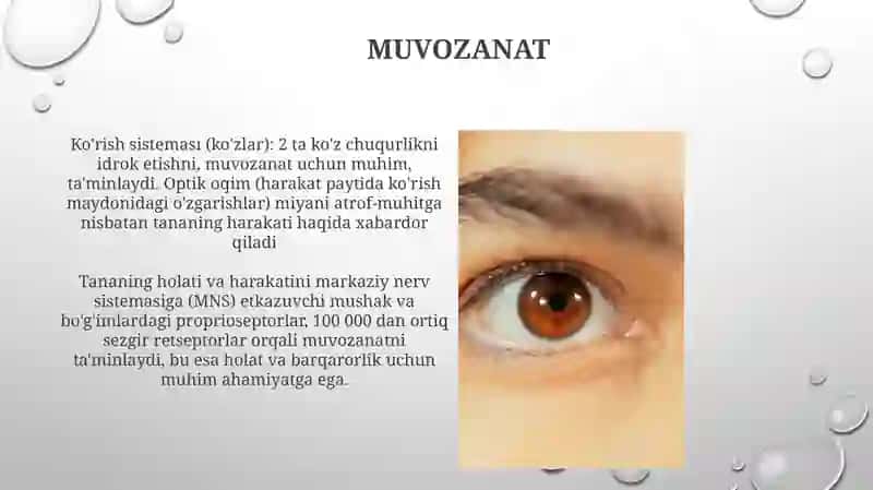 Inson sezgi organlari 4