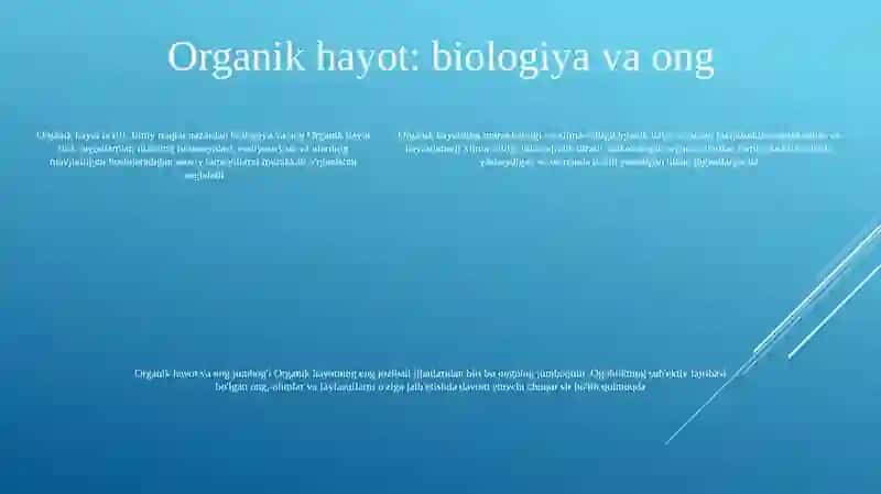 Borliq Mavjudligining Usuli Va Shakllari 4