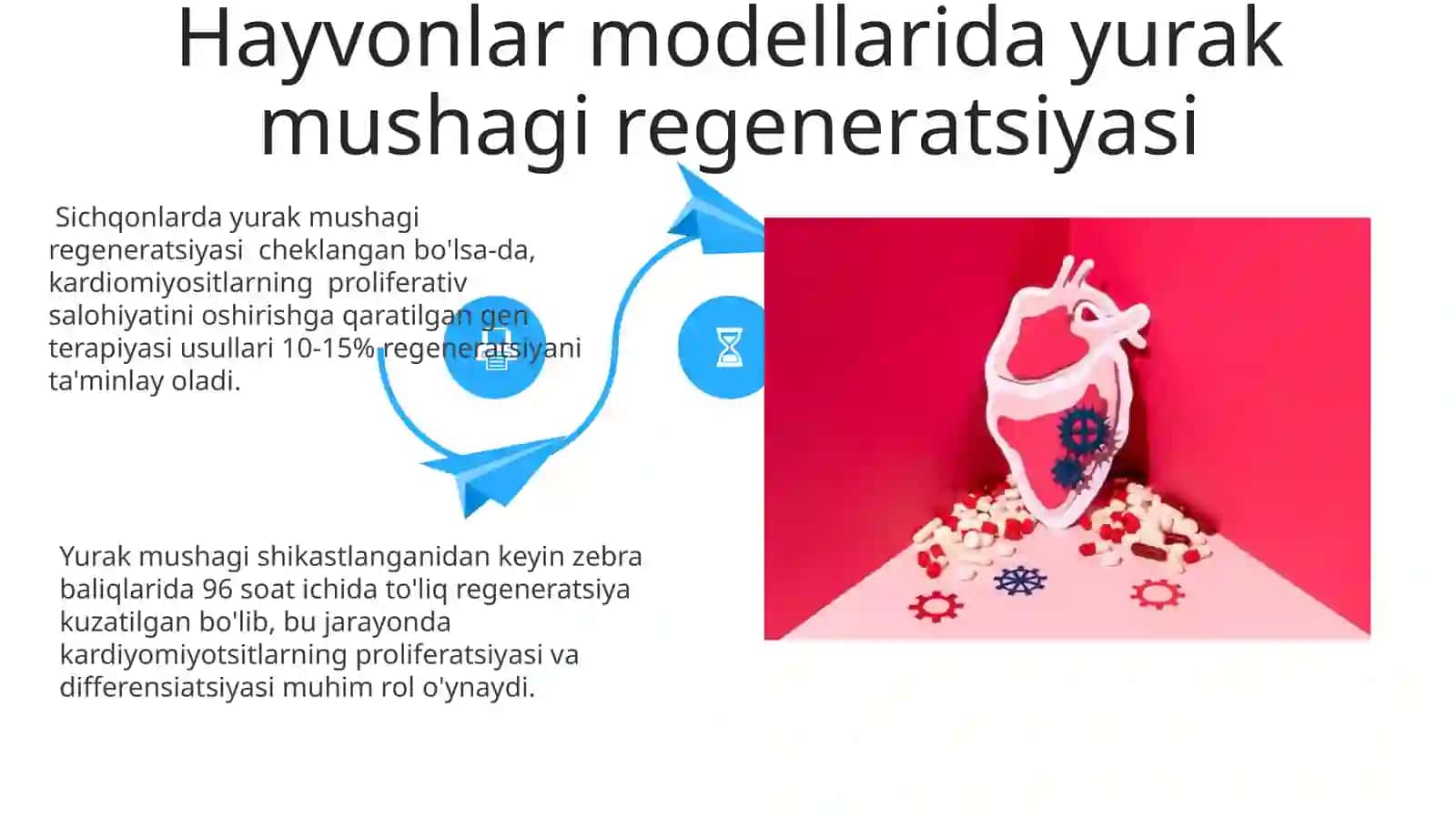 Yurak mushagi regeniratsiyasi 4