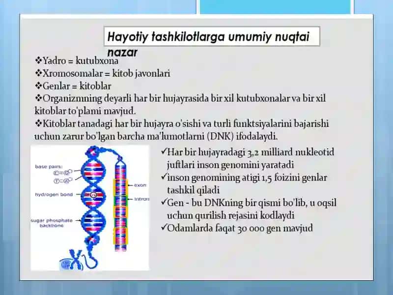 Aminokislota kodlari 4