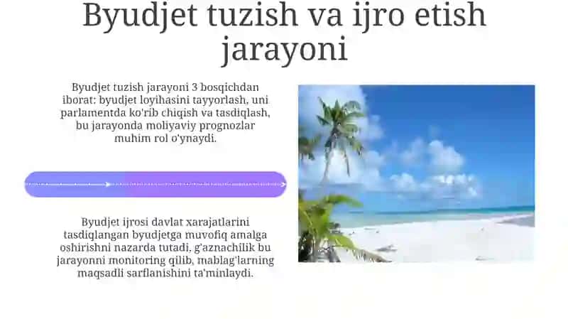 Davlat moliyasini boshqarish asoslari 4