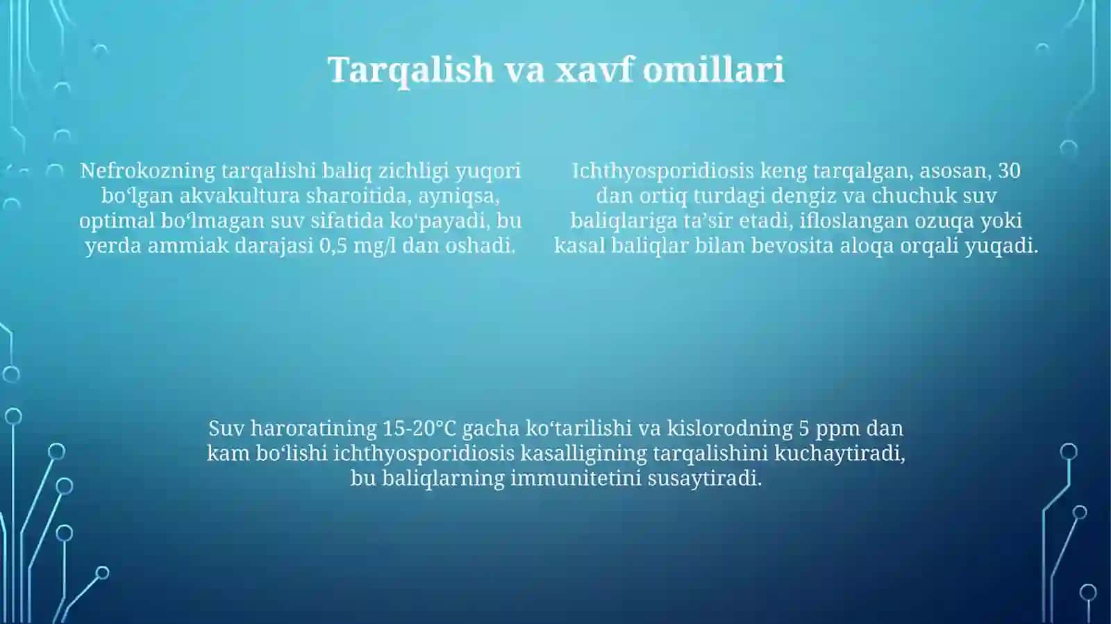 Baliqlarning nefromikoz va ixtiosporidoz kasalliklari 4