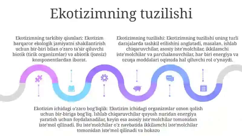 Ekotizim Va Uning Tuzilishi 4