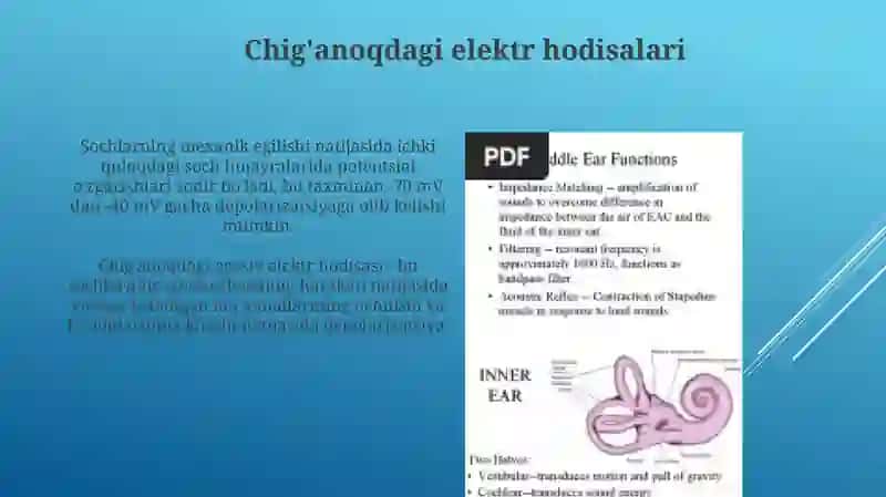 Eshituv analizatorining tuzilishi va funksiyalari 4