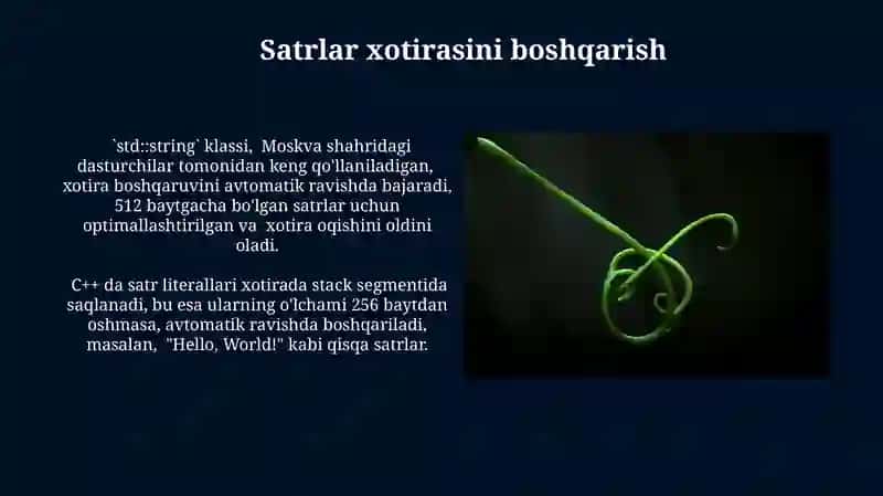 C++da Satriy Kattaliklar 4