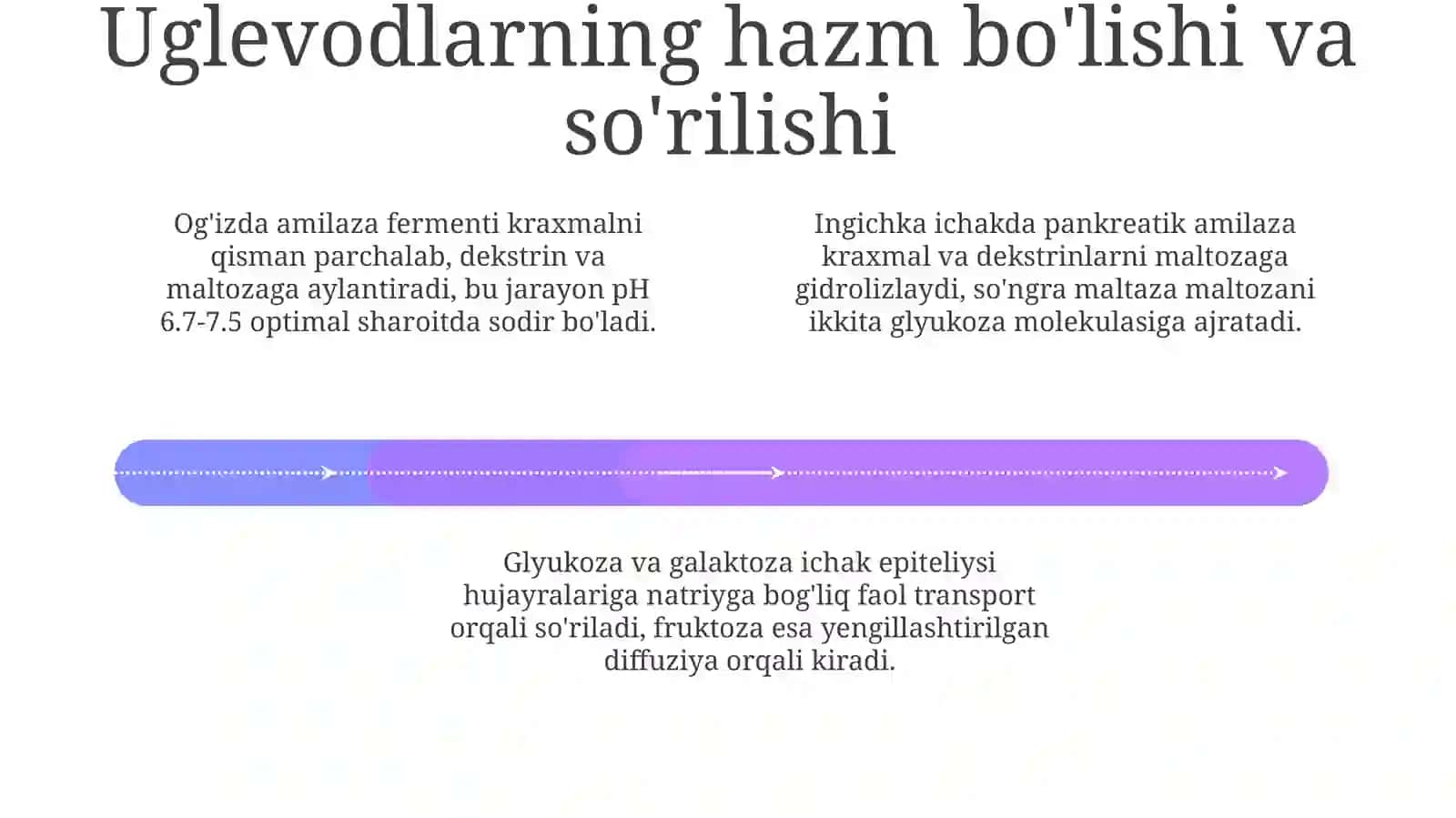 Uglevodlar almashinivu va funksialari 4