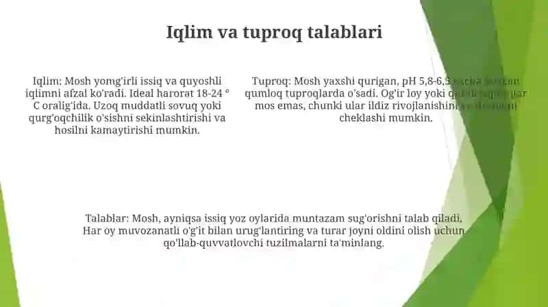Mosh Yetishtirish Agrotexnikasi 4