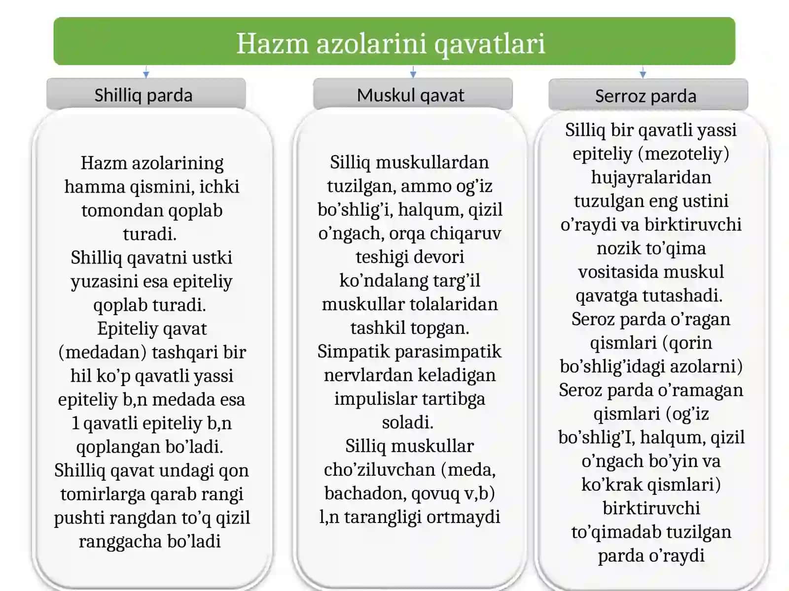 Ovqat hazm qilish 4