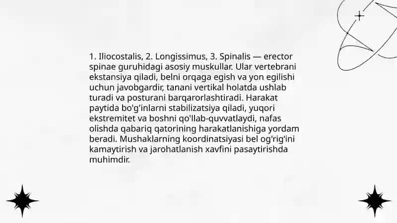Bel muskullari haqida 4