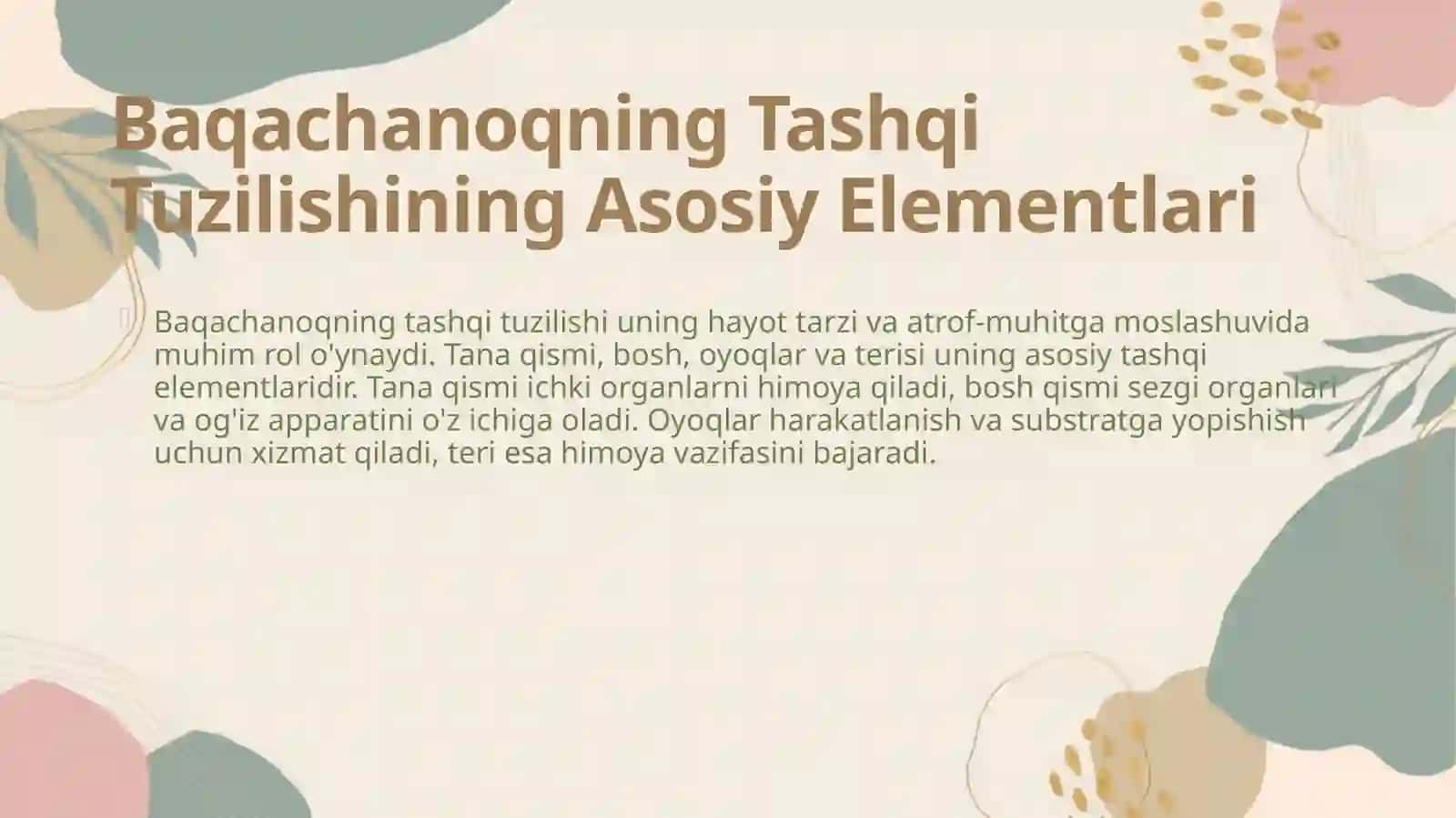 Baqachanoq tashqi tuzilishi 4