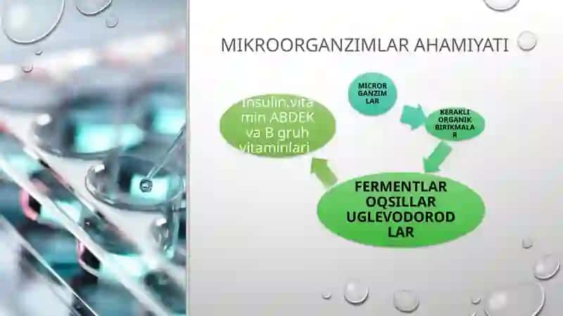 Mikroorganizimlardan zarur moddalarni sentezlab olish 4