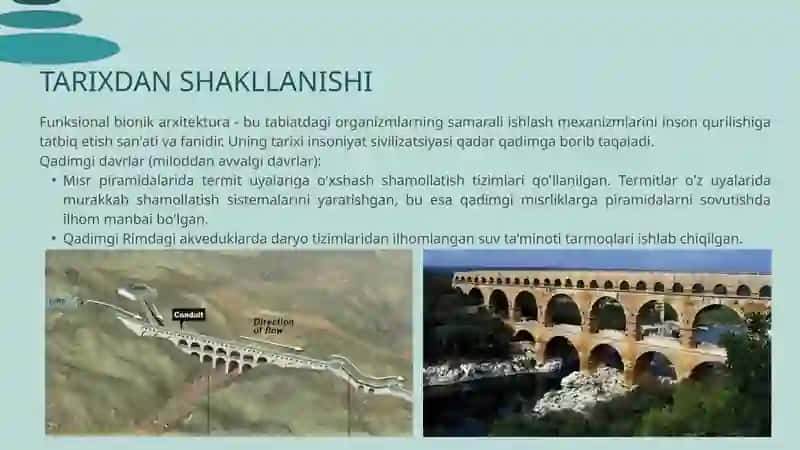 "Bionik Funksiyanallik" taqdomot 4