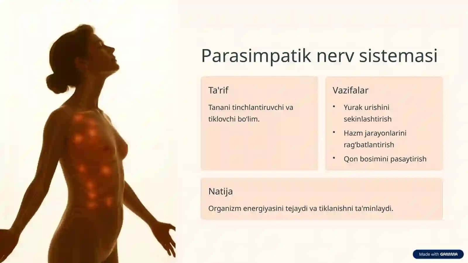 Vegetativ nerv sistemasi: Kirish 4