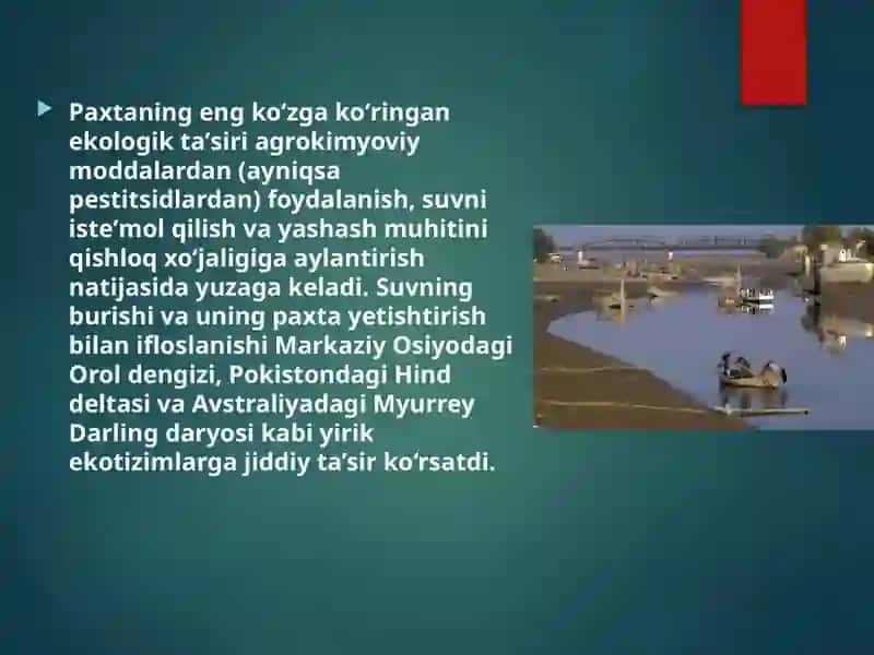 Industrial iqtisodiyot paxta yetishtirish samarali yo‘llari 4