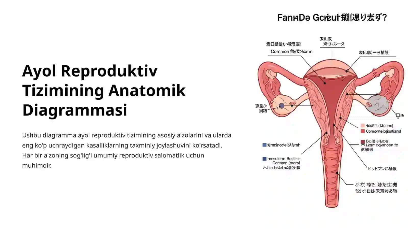 Reproduktiv A'zolari Kasalliklari 4