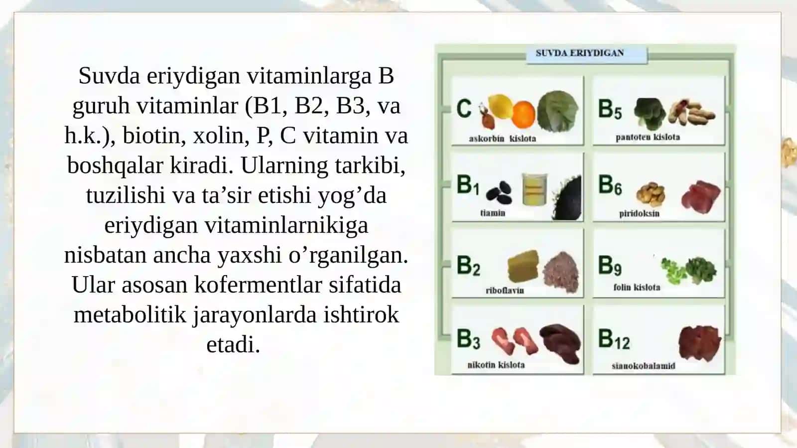 Bguruh vitaminlar va ularning ovqatlanishdagi o'rmi 4