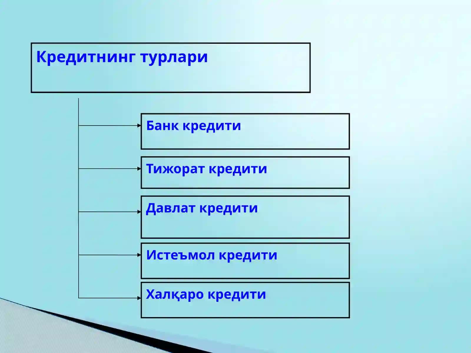 Алоҳида кредит турлари ва кредитлаш шакллари 4