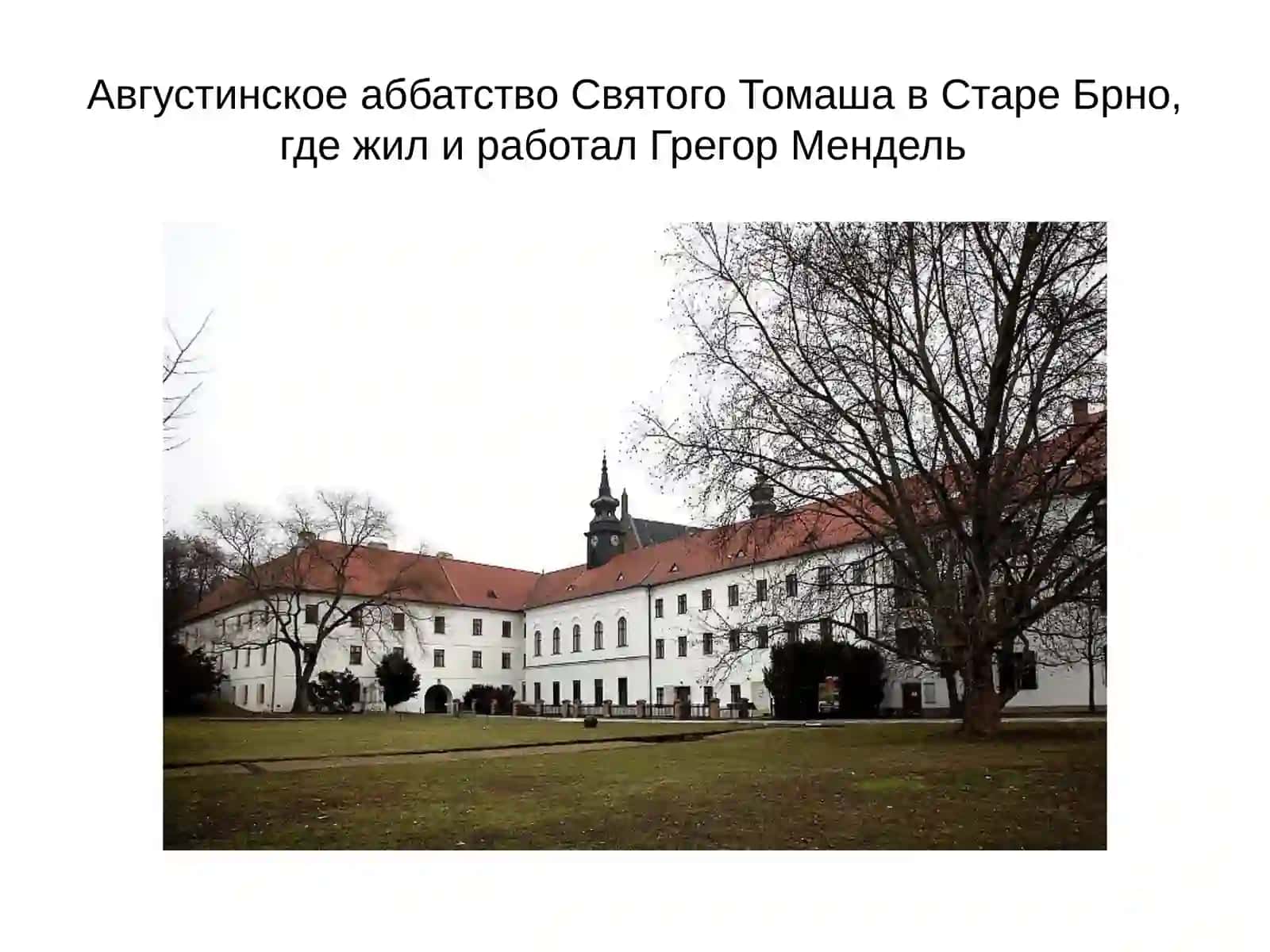 Дарвиновской концепции эволюции 4