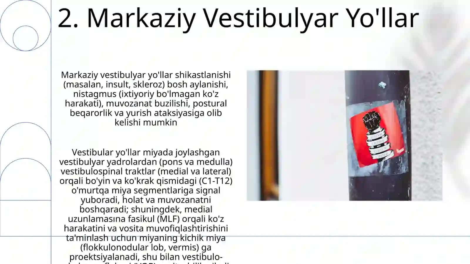 Vestibulyar analizator 4