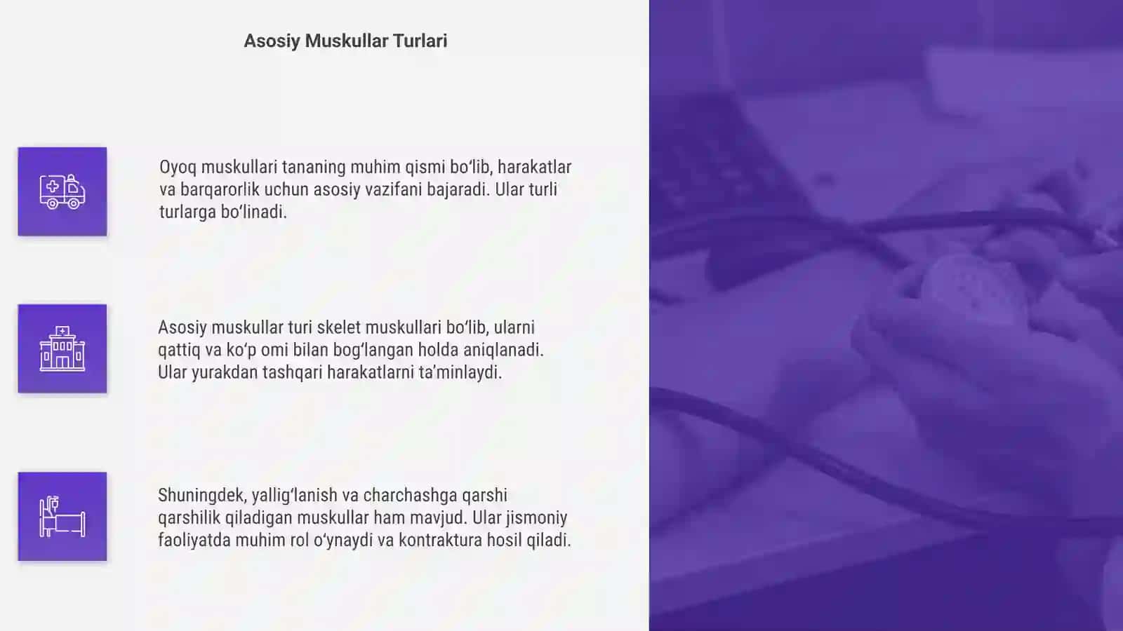 Oyoq muskullari 4