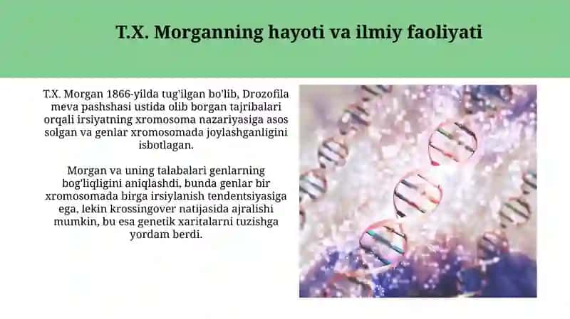 Xromosoma meros nazariyasi 4