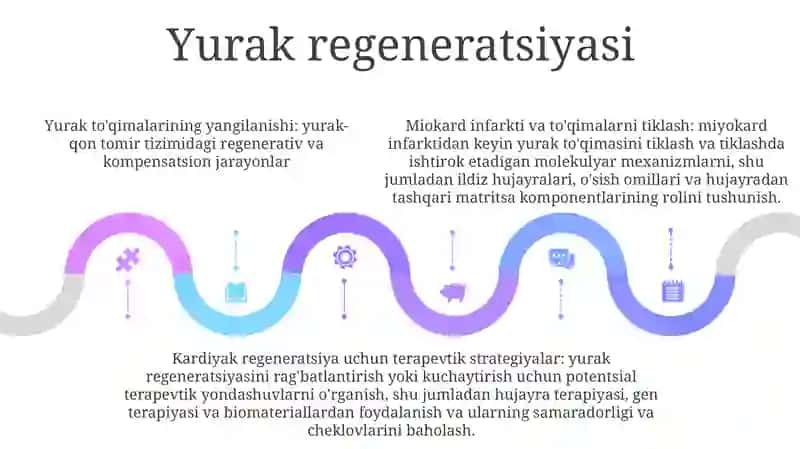 Yurak-Qon Tomir Tizimida Regenerator Va Kompensator Jarayonlari 4