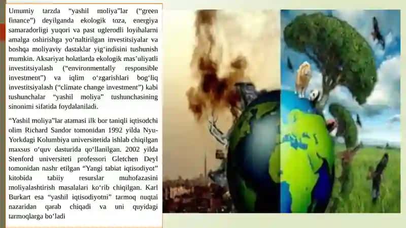 “YASHIL IQTISODIYOT”GA O‘TISH JARAYONINI MOLIYALASHTIRISH. 4