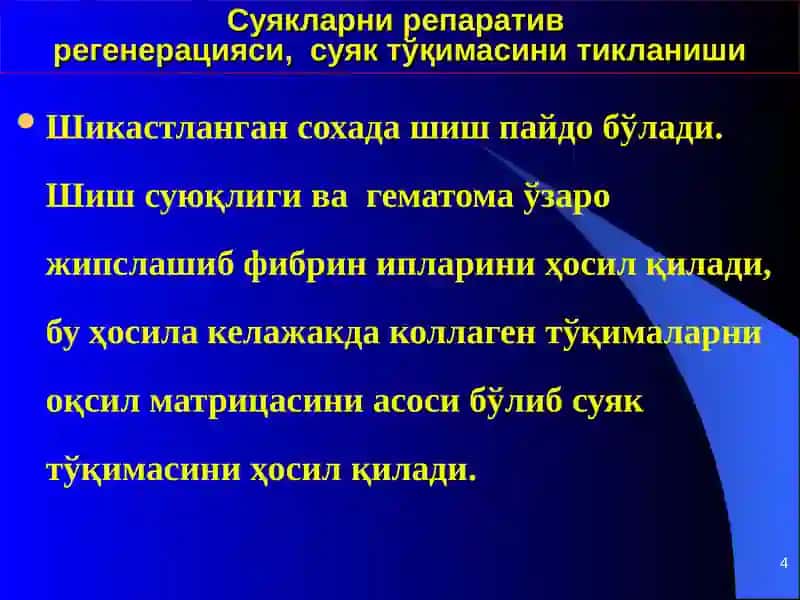 Суякларни репаративрегенерацияси 4