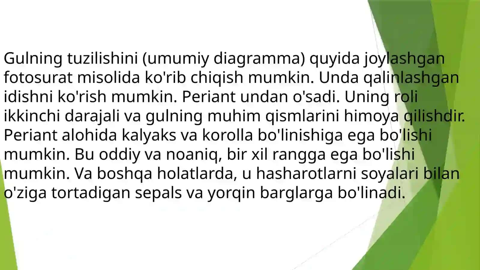 Gul tuzulishi va xillari 4