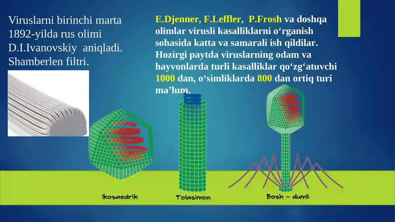 Viruslarning umumiy tavsifi 4