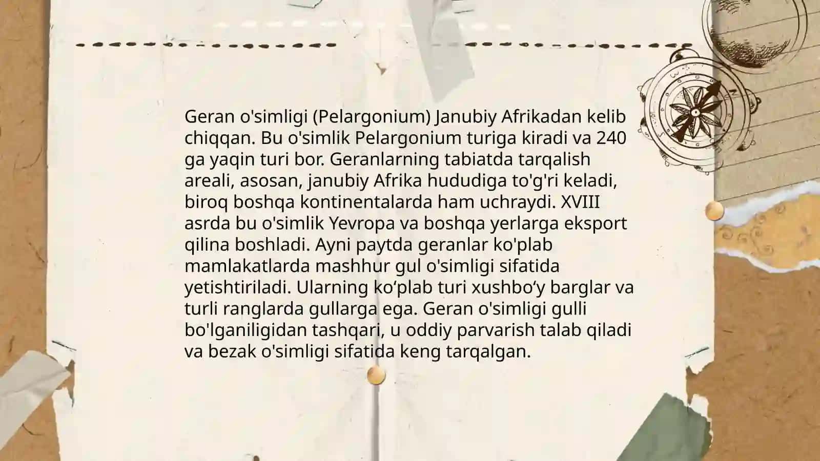 Geran ôsimligi haqida taqdimot 4