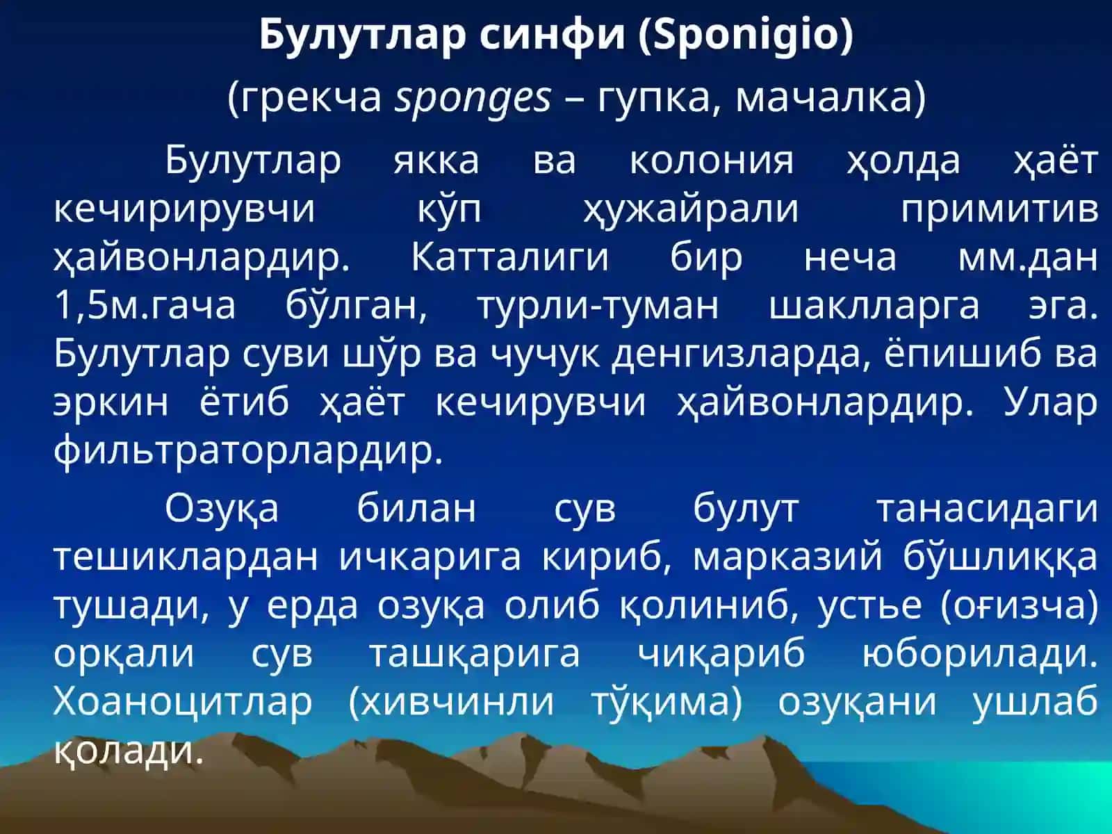 Булутлар типи (Spongia) 4