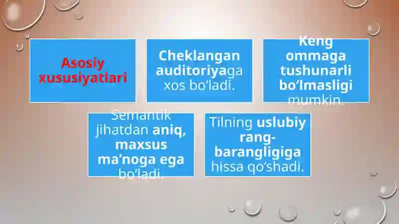 Iste’mol doirasi chegaralangan leksika 4