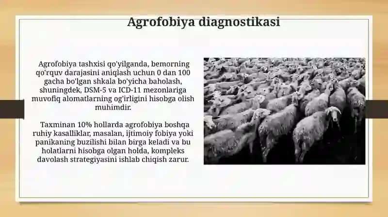 Agrofobiya va talvasa 4