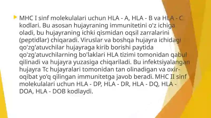 HLA-tizimi(MHC-tizimi) 4