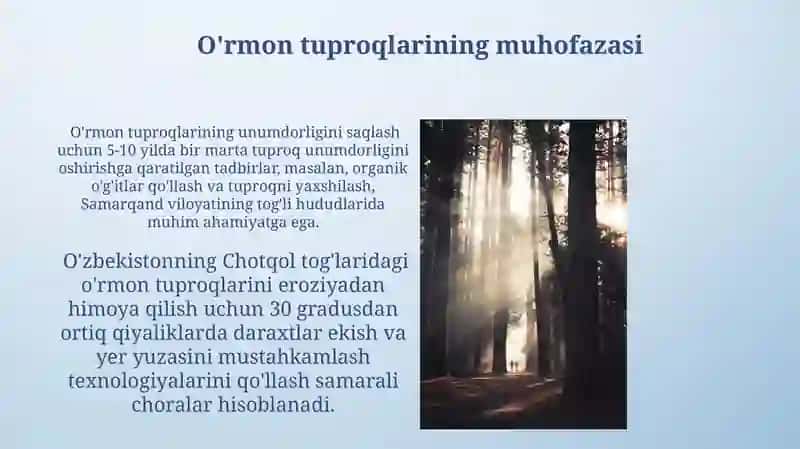 O'rmon Tuproqlarining Xossalari 4