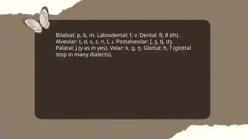 The Consonant System of English 4