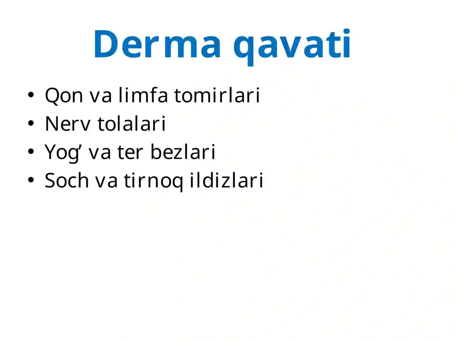 Teri va siydik ayirish sistemasi 4