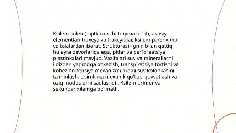 O'tkazuvchi to'qima 4