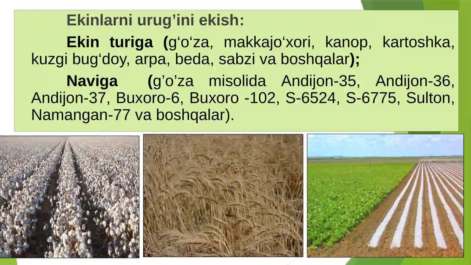 QISHLOQ XO‘JALIK EKINLARINI EKISH USULLARI 4