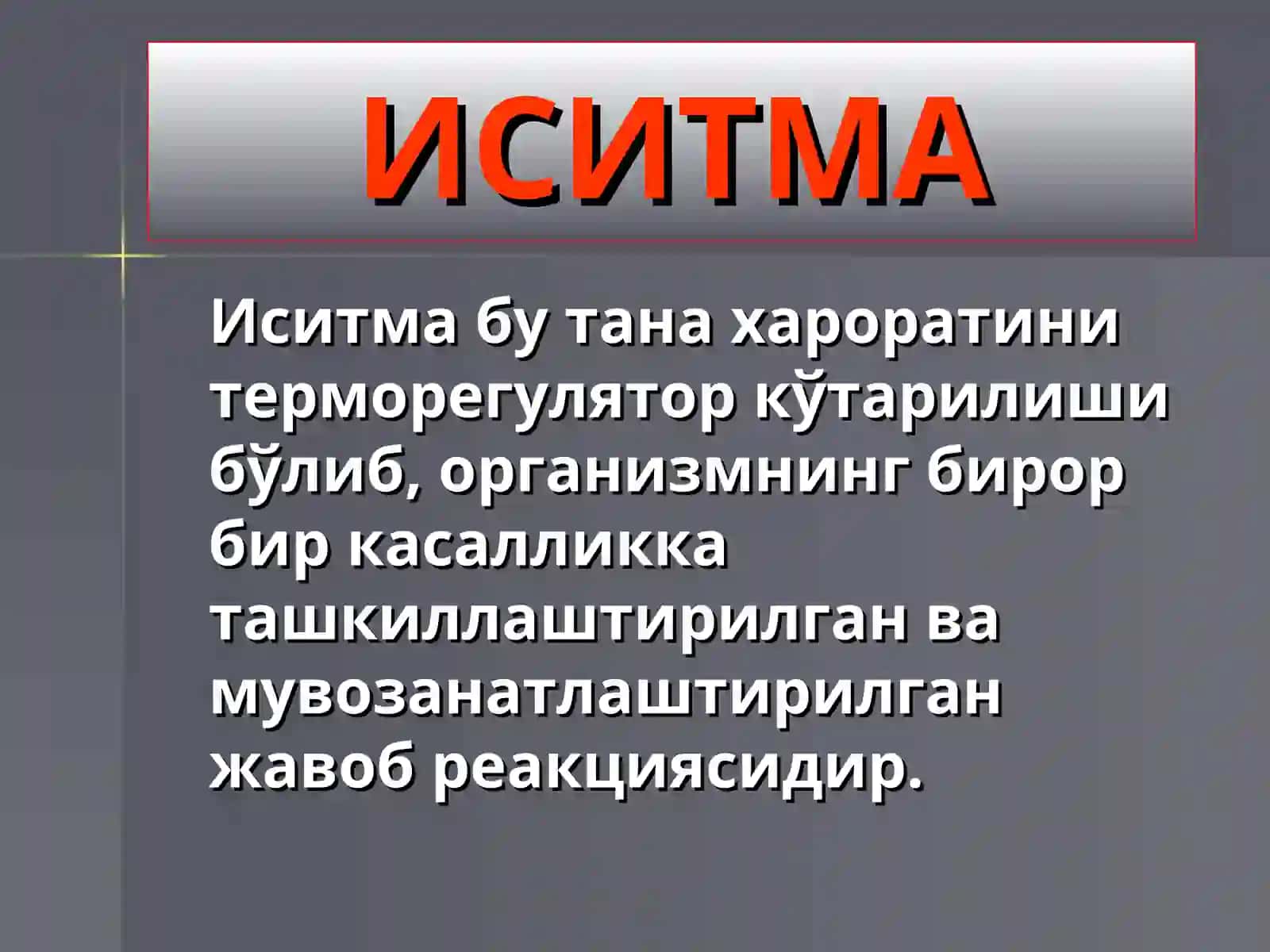 ИСИТМА 4