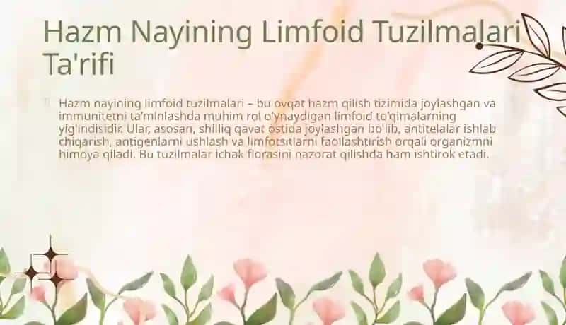 Hazm nayining limfoid tuzilmalari 4