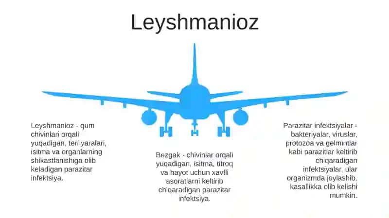 Parazitar Infektsiyalar Malyariya, Leshmaniyoz 4